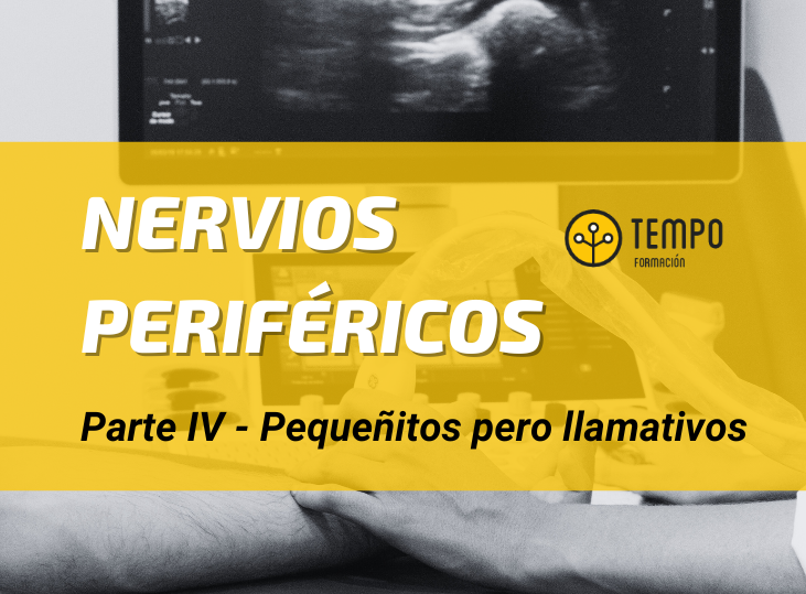 nervios-perifericos-y-ecografia-parte-4-pequenos-y-llamativos